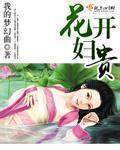 小说：花开妇贵，作者：我的梦幻曲