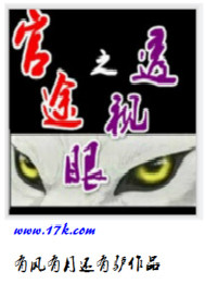 小说：官途之透视眼，作者：有风有月还有驴