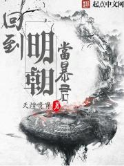 小说：回到明朝当暴君，作者：天煌贵胄
