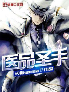小说：医品圣手，作者：天狐sama