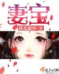 小说：妻宝，作者：西瓜甜仔