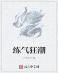 小说：练气狂潮，作者：小笋炒肉