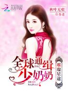 小说：璀璨星途：全球通缉少奶奶，作者：秋叶无痕