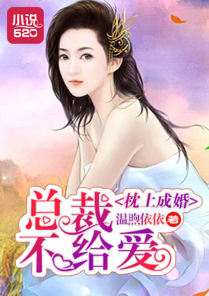 小说：枕上成婚：总裁不给爱，作者：温煦依依
