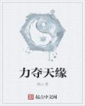 小说：力夺天缘，作者：图山