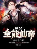 小说：极品全能仙帝，作者：言不合
