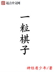 小说：一粒棋子，作者：神经质少年