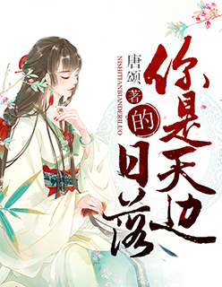 小说：你是天边的日落，作者：唐颂