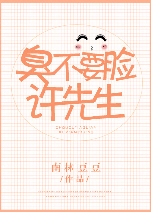 小说：臭不要脸许先生，作者：南林豆豆