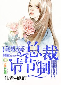 小说：暖婚攻略，总裁请节制！，作者：鹿酒