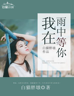 小说：我在雨中等你，作者：白猫胖墩