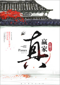 小说：红楼之真赢家，作者：Panax