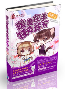 小说：暖妻在手狂妄爷有，作者：九序