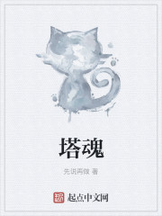 小说：塔魂，作者：先说再做