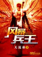 小说：风暴兵王，作者：天流冰