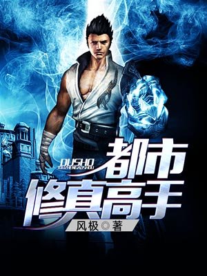 小说：都市修真高手，作者：风极
