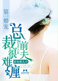 小说：第一婚宠：总裁前夫很难缠，作者：慕容歆儿