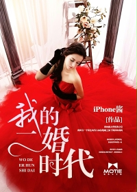 小说：我的二婚时代，作者：iPhone酱