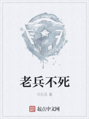小说：老兵不死，作者：玗石页