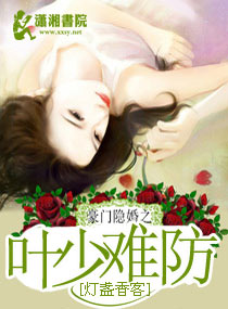 小说：豪门隐婚之叶少难防，作者：灯盏香客