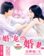 小说：蜜汁娇妻，甜甜甜！，作者：柠檬蜜