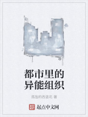 小说：都市里的异能组织，作者：孤独的西蓝花