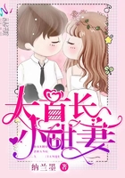 小说：大首长，小甜妻，作者：纳兰墨
