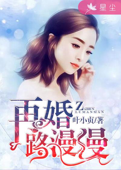 小说：再婚路漫漫，作者：叶小贞