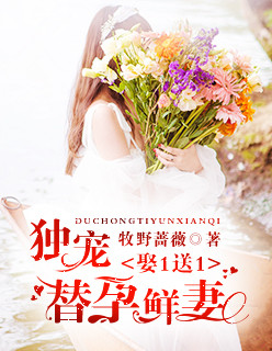 小说：娶1送1：独宠替孕鲜妻，作者：牧野蔷薇
