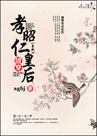 小说：清穿孝昭仁皇后（系统），作者：aghj