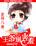 小说：王爷别害羞，作者：夏绯儿