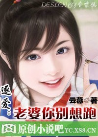 小说：逐爱：老婆你别想跑，作者：云燕