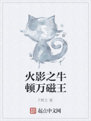 小说：火影之牛顿万磁王，作者：F教主