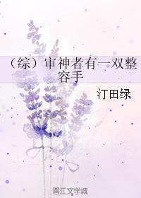 小说：（综）审神者有一双整容手，作者：汀田绿