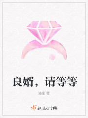小说：良婿，请等等，作者：洛宴