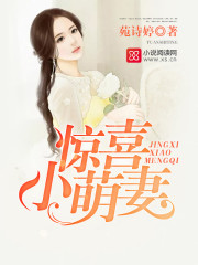 小说：惊喜小萌妻，作者：苑诗婷