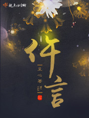 小说：仵言，作者：呈心