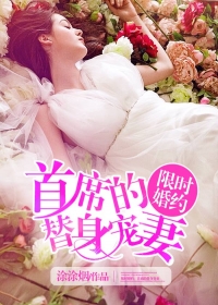 小说：限时婚约，首席的替身宠妻，作者：涂涂烟