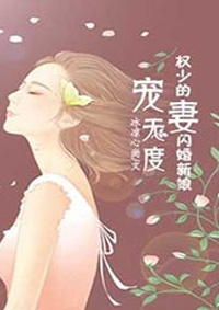 小说：宠妻无度：权少的闪婚新娘，作者：凉冰心尚
