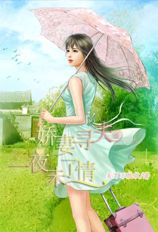 小说：娇妻寻夫：一夜未了情，作者：美男不胜收
