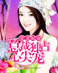 小说：爱妻如命：总裁独占心尖宠，作者：瑶淼