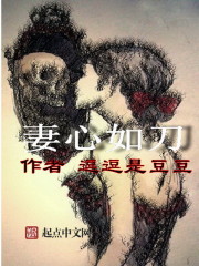 小说：妻心如刀，作者：逗逗是豆豆