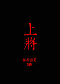 小说：上将，作者：风荷游月