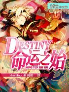 小说：destiny命运之始，作者：沉睡一直睡