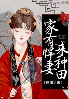 小说：农家悍妻来种田，作者：阿茹