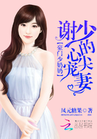 小说：豪门第一少奶奶，作者：凤元糖果
