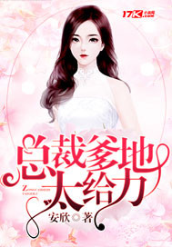 小说：总裁爹地太给力，作者：安欣