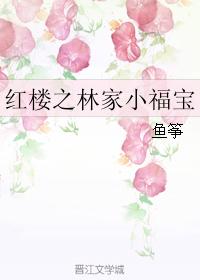 小说：红楼之林家小福宝，作者：鱼筝