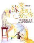 小说：缘来我曾爱过你，作者：桑榆非婉