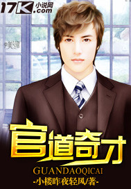 小说：官道奇才，作者：小楼昨夜轻风
